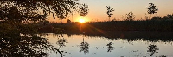 Soul purpose_sunrise reflection in the canal